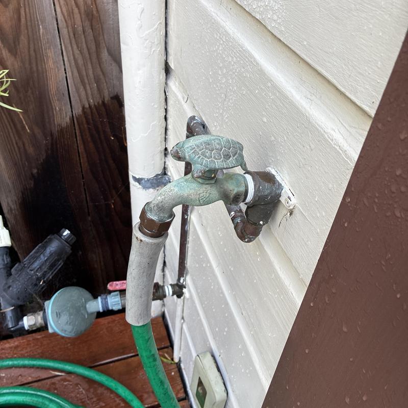 Hose bib with turtle handle and green garden hose