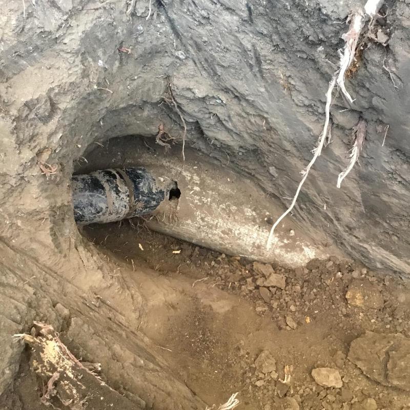 Broken sewer pipe exposed in excavation with roots Broken sewer pipe exposed in excavation with roots