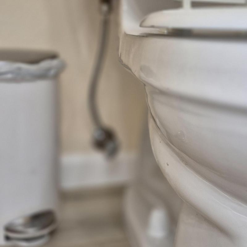 Toilet flange close-up with water supply line in background