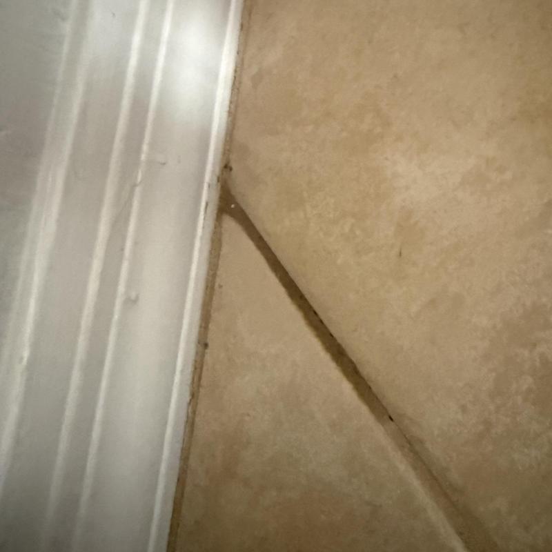 Tile floor corner with grout gap near baseboard