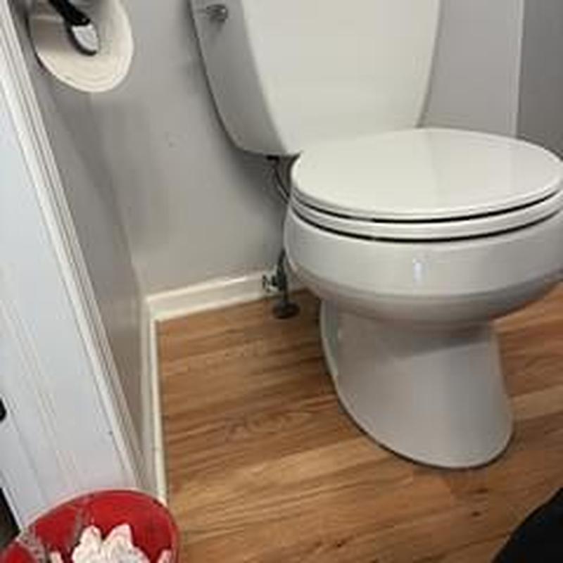 Toilet with new closet flange on hardwood floor