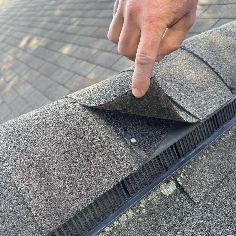 Asphalt shingle ridge cap lifted for nail inspection