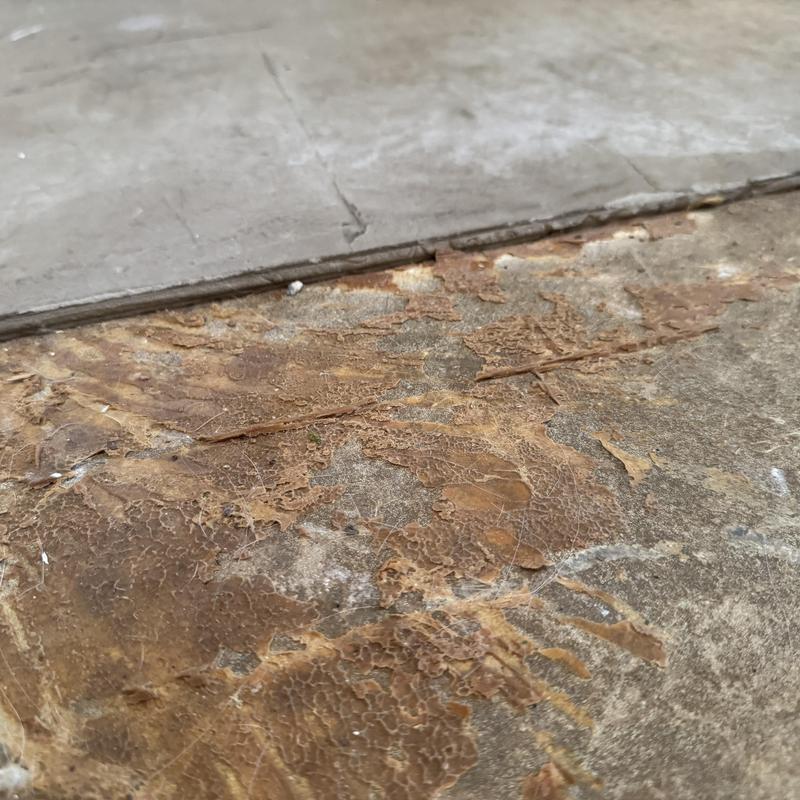 Subfloor water damage with peeling and cracking surface