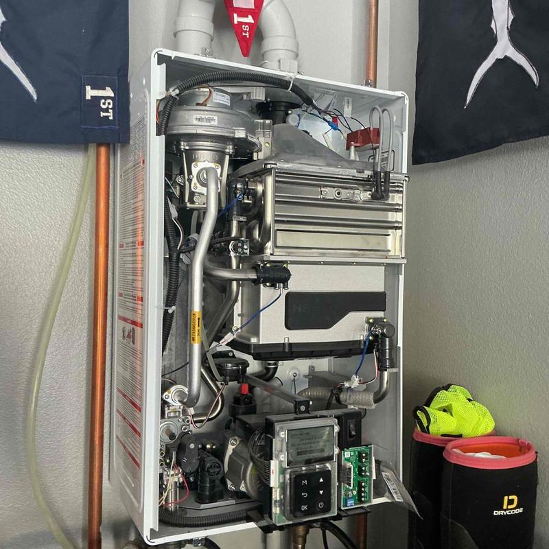 Tankless water heater descaling flush system