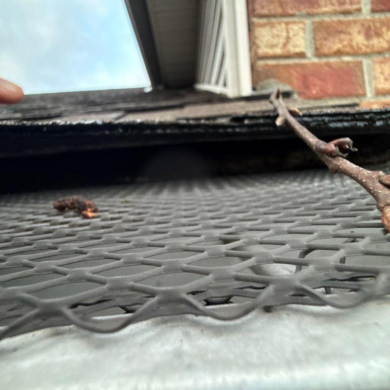 Gutter guard mesh with debris near roof edge