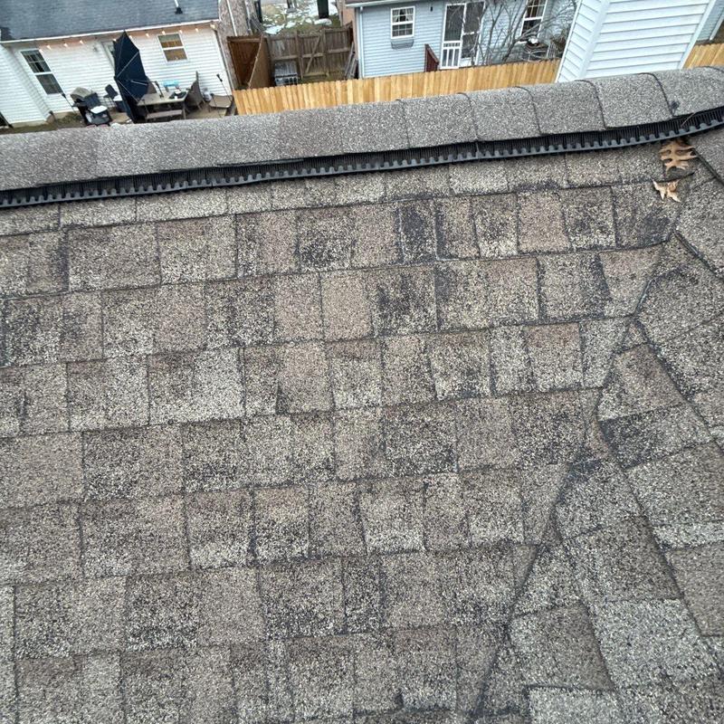 Architectural asphalt shingles showing hail damage