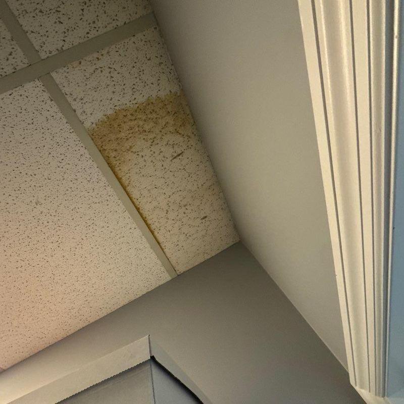 Ceiling tile water stain and damage in corner room