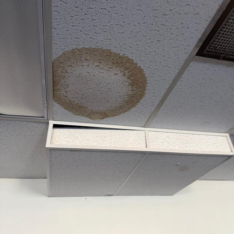 Ceiling tile water stain damage near light fixture