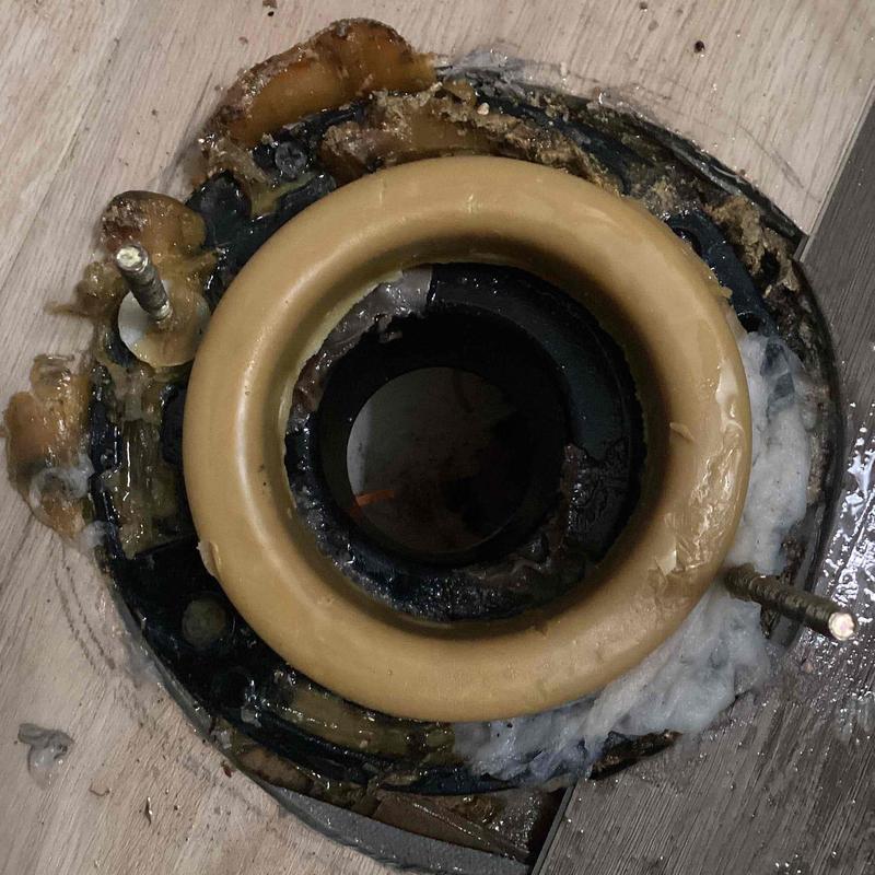 Toilet flange with seal and mounting bolts installed Toilet flange with seal and mounting bolts installed