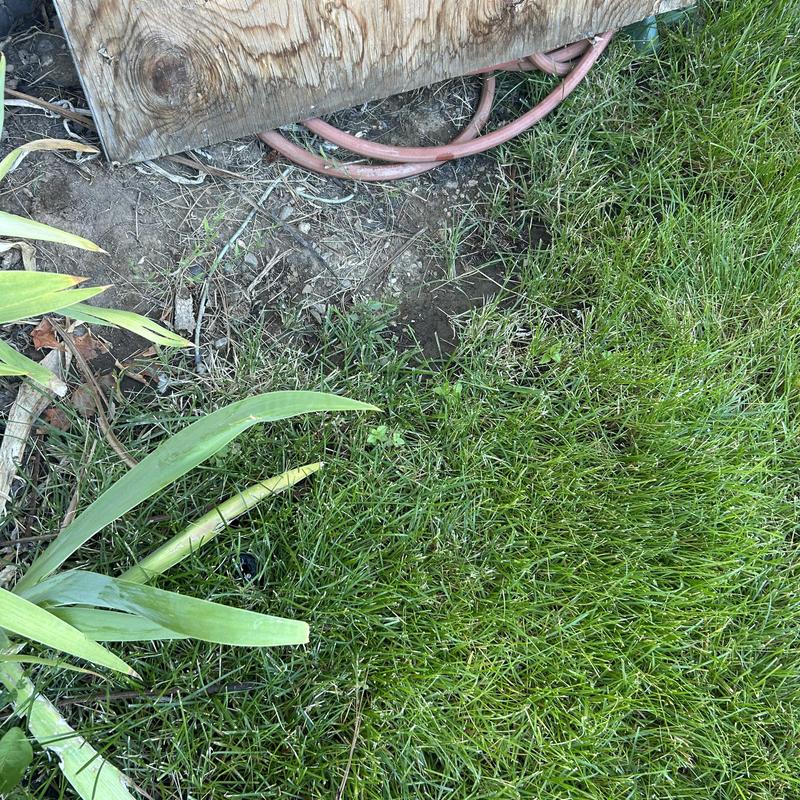 Sprinkler system underground leak near water heater area Sprinkler system underground leak near water heater area