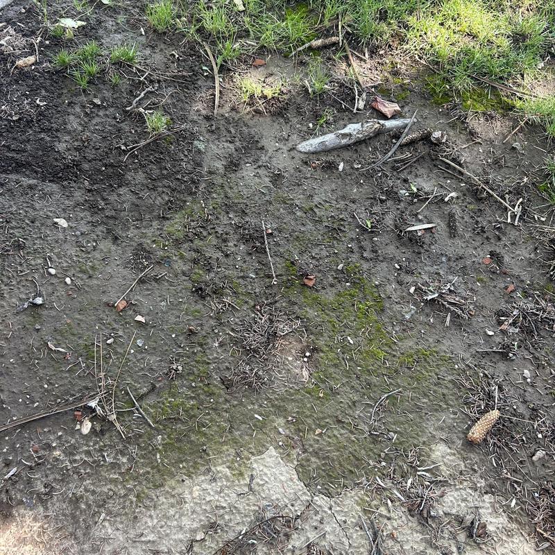 Sprinkler system groundwater saturation on soil surface Sprinkler system groundwater saturation on soil surface