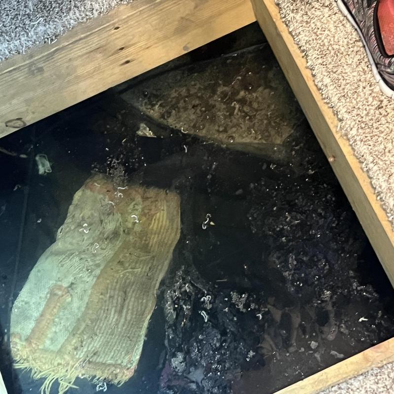 Watermain flood in crawlspace with soaked materials