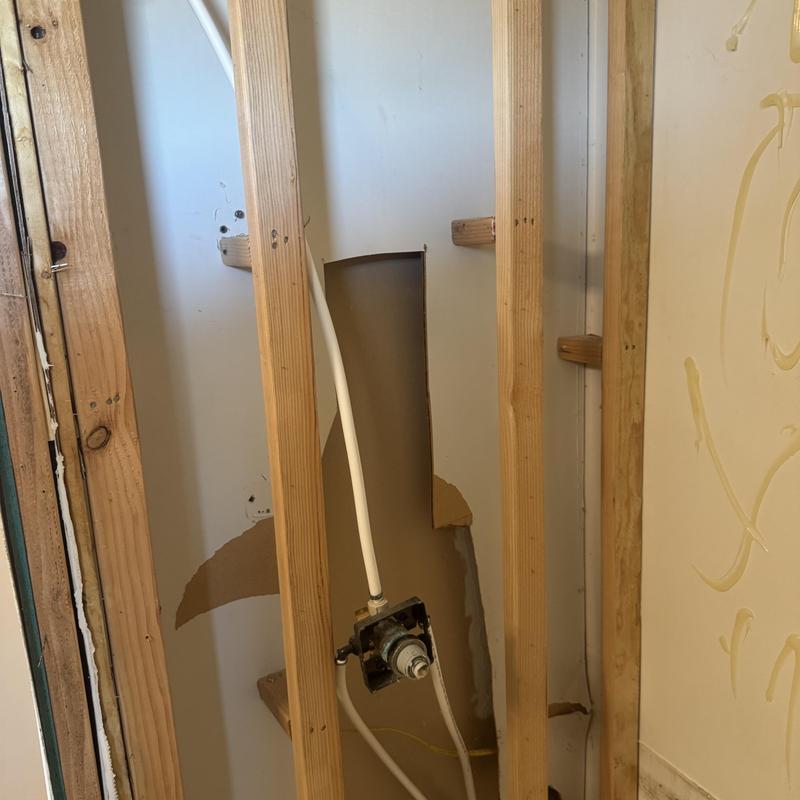 Shower valve and framing exposed during enclosure demo