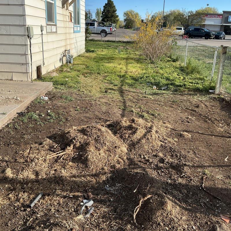Drain field area showing soil and debris near house Drain field area showing soil and debris near house