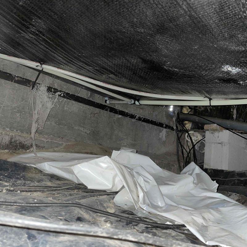 PEX water lines installed in crawl space ceiling