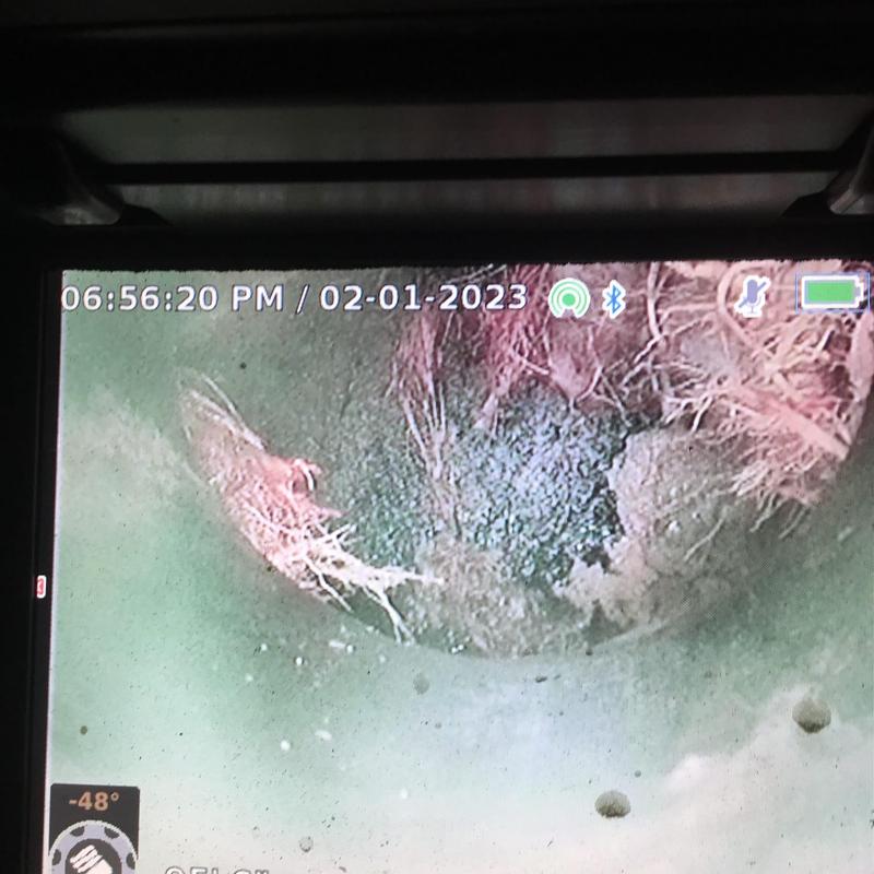 Main sewer line root intrusion inspection camera view Main sewer line root intrusion inspection camera view