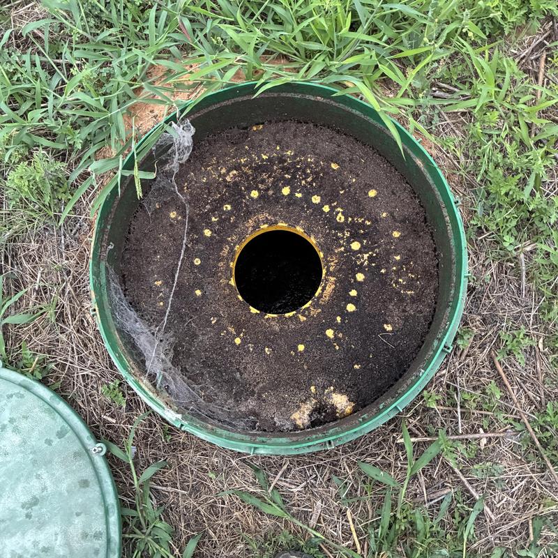 Sewer cleanout with soil and spider webs in grass Sewer cleanout with soil and spider webs in grass