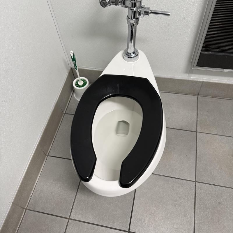 Commercial toilet with black seat in restroom corner Commercial toilet with black seat in restroom corner