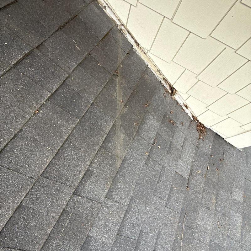 Asphalt roof shingles with hail damage near siding