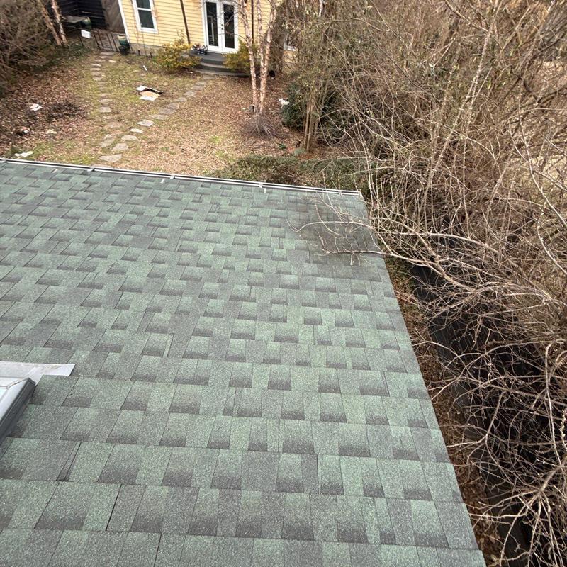 Asphalt shingle roof with nearby tree branches