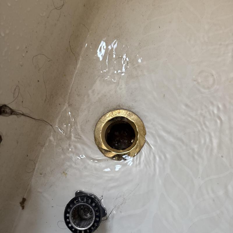 Bathtub drain with hair blockage and standing water