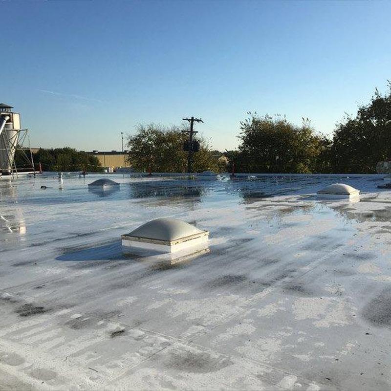 Commercial flat roof with ventilation domes and water pooling Commercial flat roof with ventilation domes and water pooling