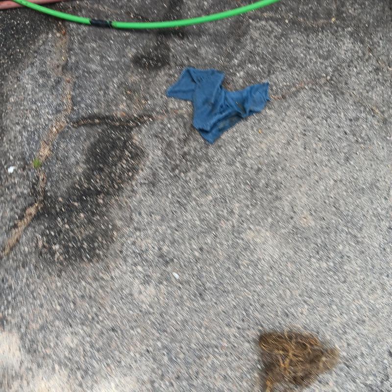 Sewer line hydrojetting with green hose on pavement