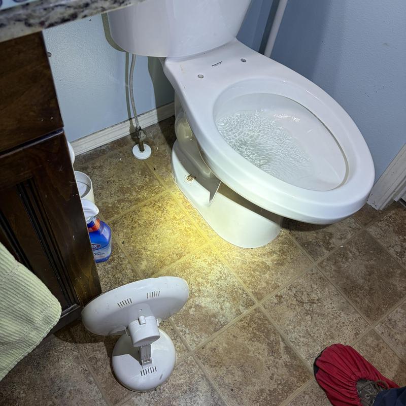 Toilet base and tank leak inspection in bathroom Toilet base and tank leak inspection in bathroom