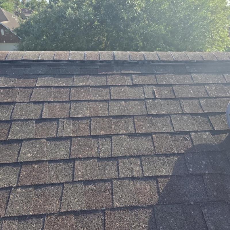 Asphalt shingle roof with visible hail damage marks