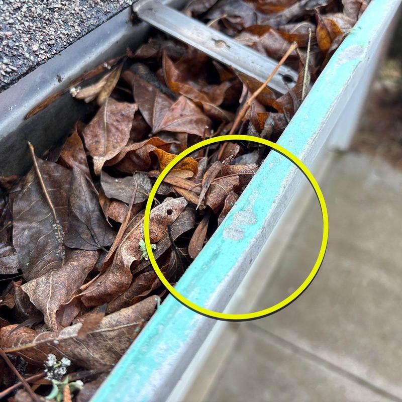 Roof gutter with debris and surface corrosion spot