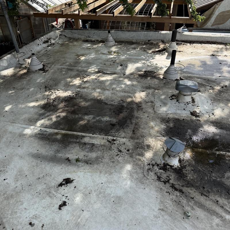TPO membrane roof with multiple vent pipes and dirt patches TPO membrane roof with multiple vent pipes and dirt patches