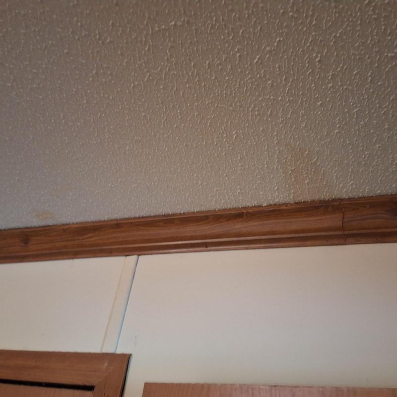 Ceiling water stain and wood trim inspection Ceiling water stain and wood trim inspection