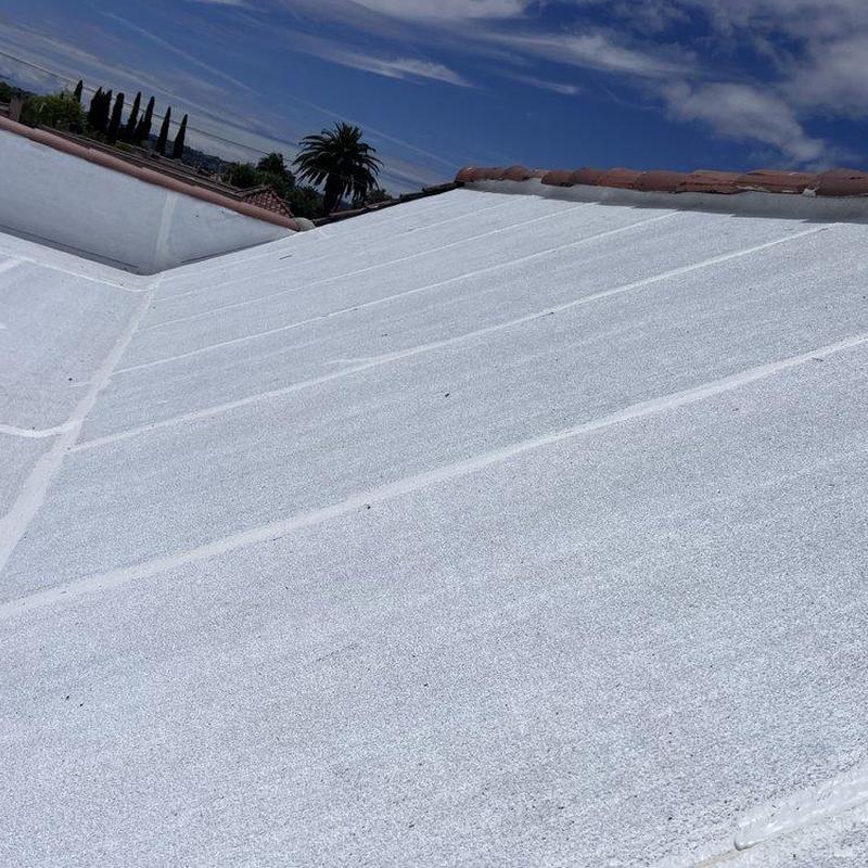 Flat roof surface inspection with visible seams Flat roof surface inspection with visible seams
