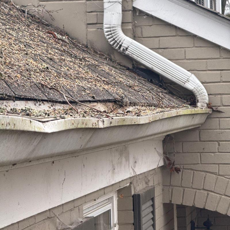 Gutter with debris and damaged shingle roof section