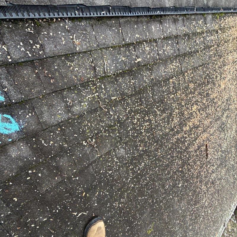 Asphalt shingle roof with hail damage debris