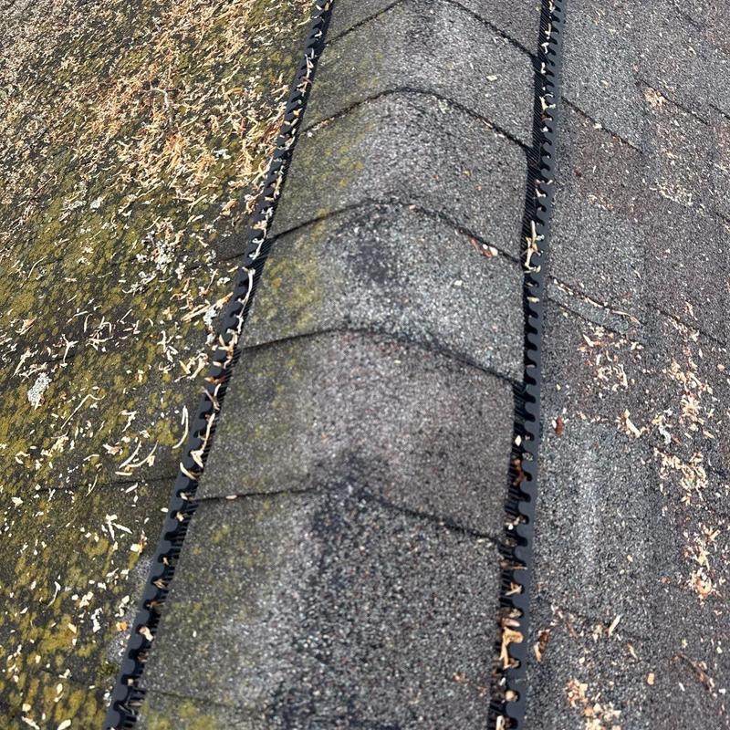 Asphalt shingles with moss and hail damage on roof ridge