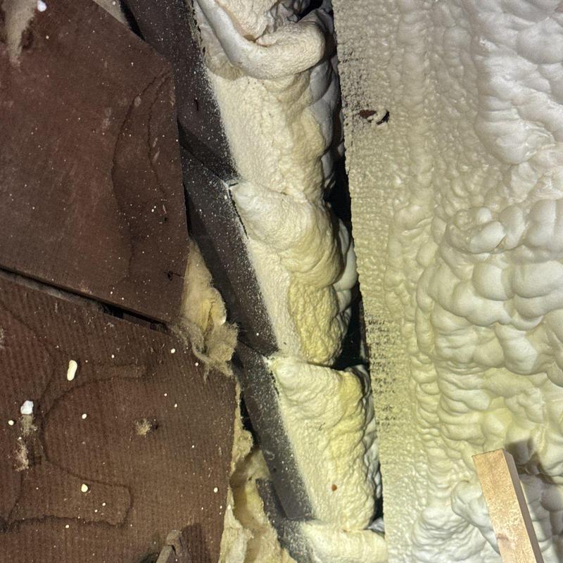 Spray foam insulation on roof underside and framing