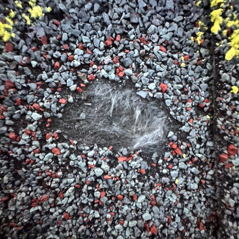 Asphalt roofing granules abrasion with exposed mat beneath