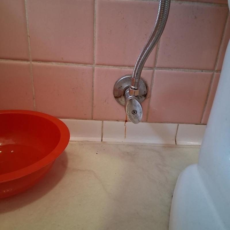 Stop valve with braided hose and pink tile wall