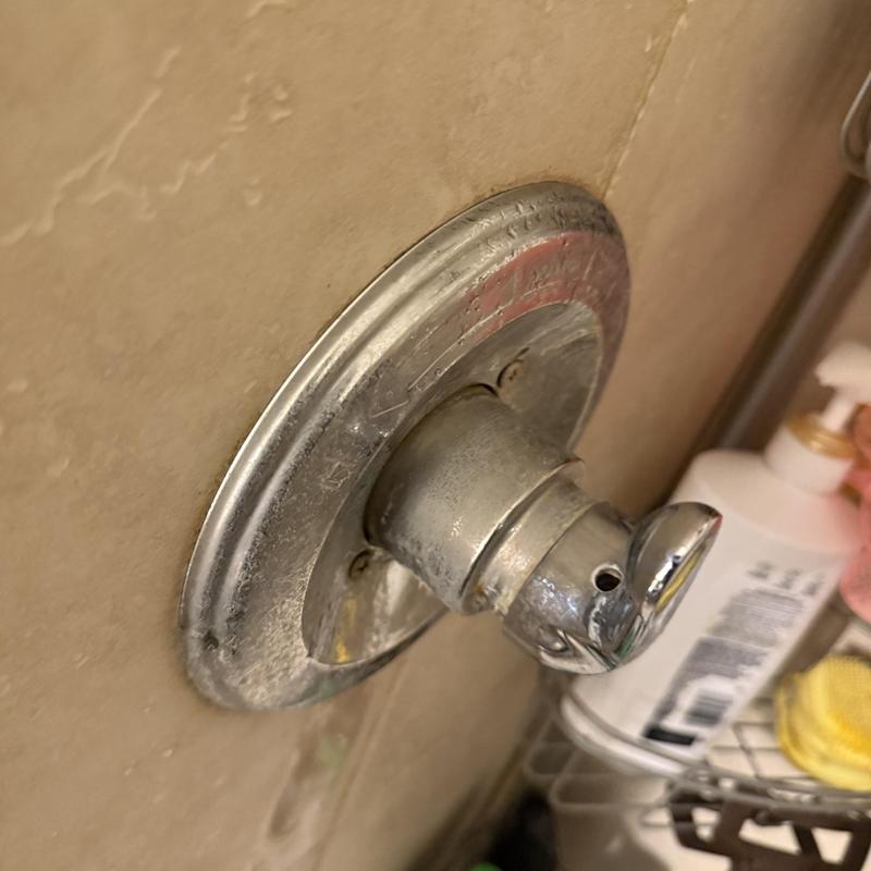 Delta shower handle and escutcheon plate close-up