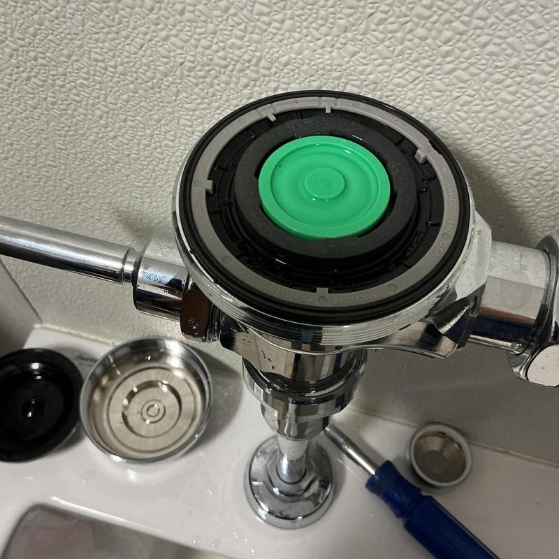 Urinal flush valve with green diaphragm seal repair