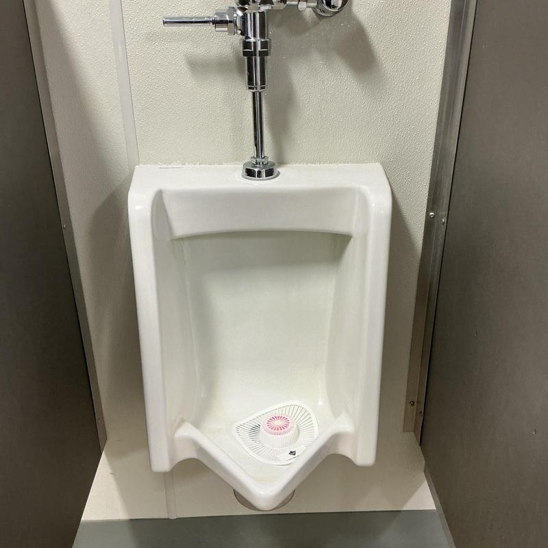 Urinal flush valve and bowl in restroom stall