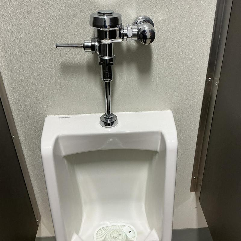 Urinal flush valve and fixture in restroom stall