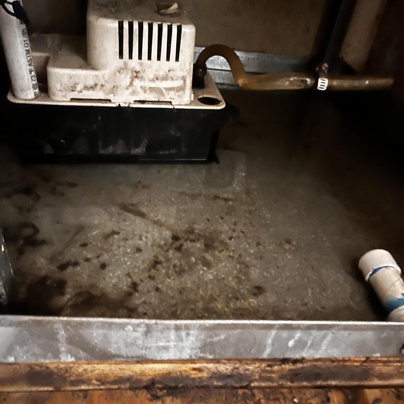 Condensate pump with leaking dirty drain pan