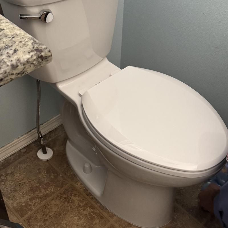 Toilet replacement installation near tank and base leaks Toilet replacement installation near tank and base leaks