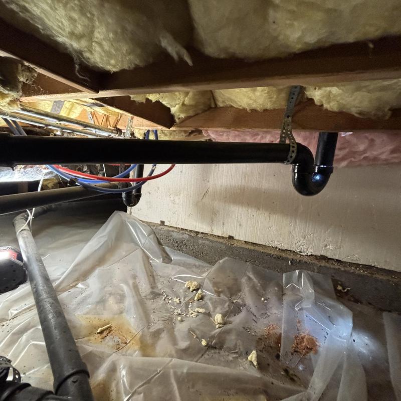 Shower drain plumbing relocated and secured under floor Shower drain plumbing relocated and secured under floor