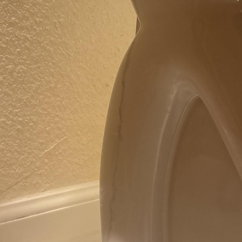 Toilet base with visible crack on side porcelain