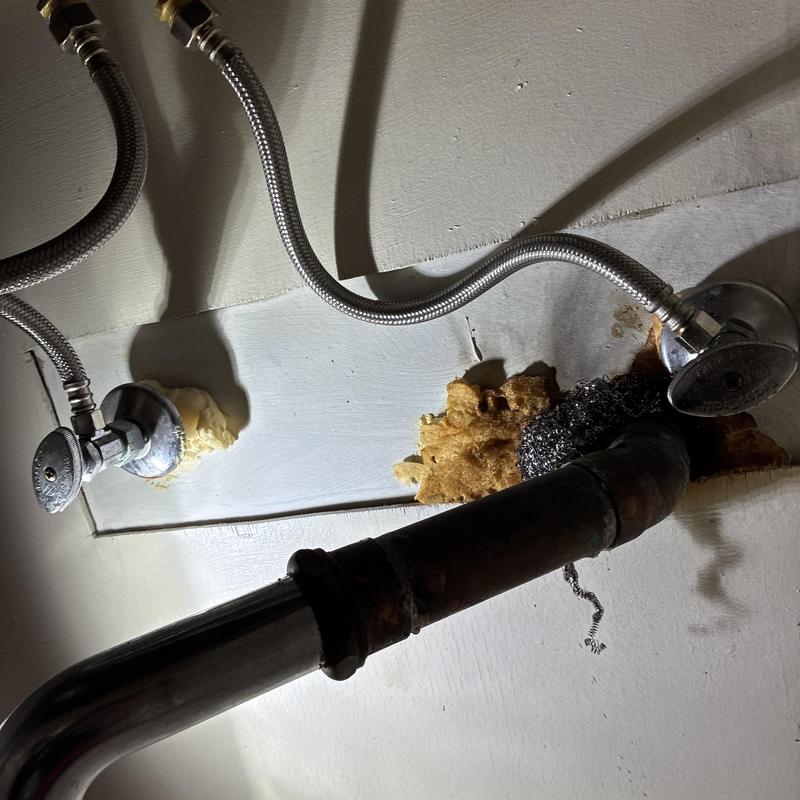 Flexible water supply lines installed under kitchen sink