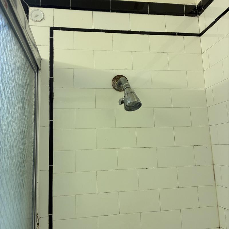 Shower head and tiled shower wall in bathroom