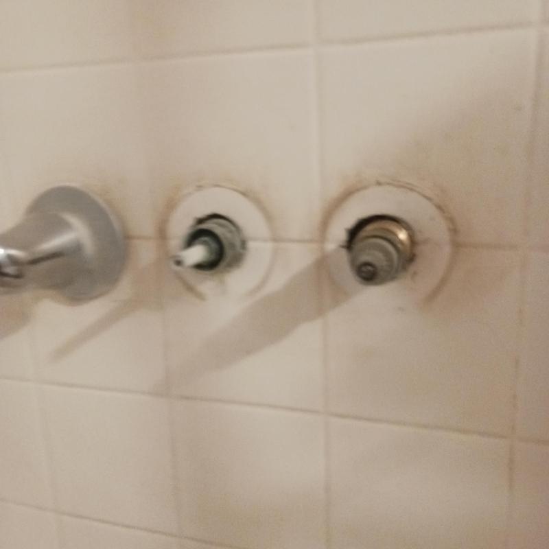 Shower valve assembly with exposed cartridges and handles